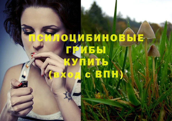 соль ск Балабаново