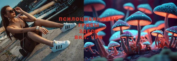 соль ск Балабаново
