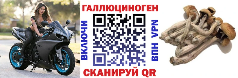 даркнет официальный сайт  Певек  Галлюциногенные грибы Cubensis 